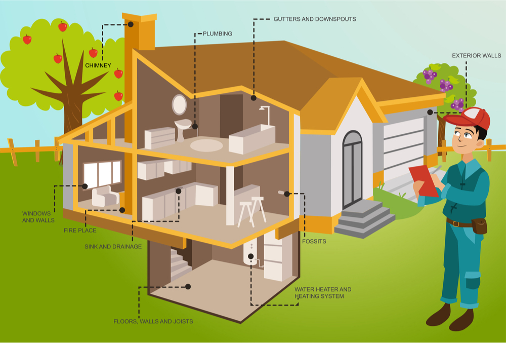 Vector graphic of man doing home inspection showing all areas of the inspection