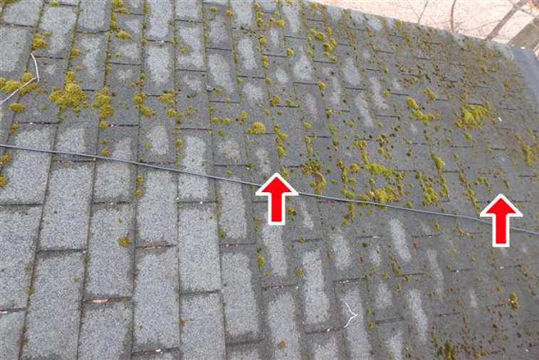 picture of moss/lichen growth on the roof and black algae streaks. Red arrows point to the areas with moss growth.