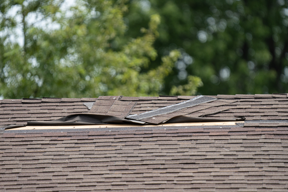 roof shingles have been damaged by high winds and strong storms