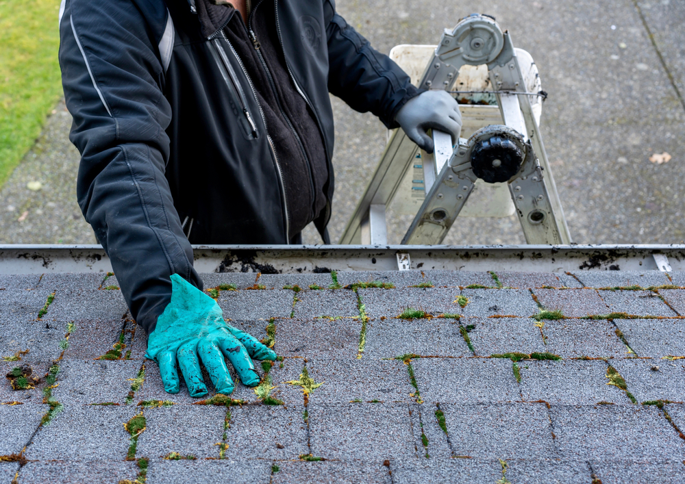 Man on top of ladder cleaning moss and dirt from a roof - his hand in messy gloves - view from the top of the roof