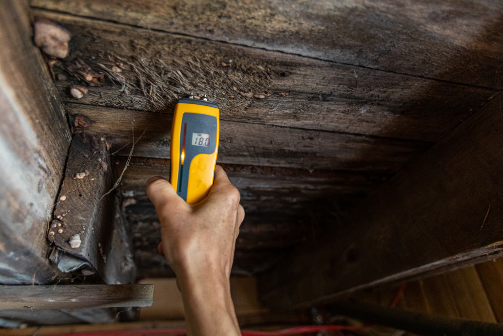 A close-up view of a home inspector at work in a residential basement, assessing signs of structural defects such as wood rot and dampness