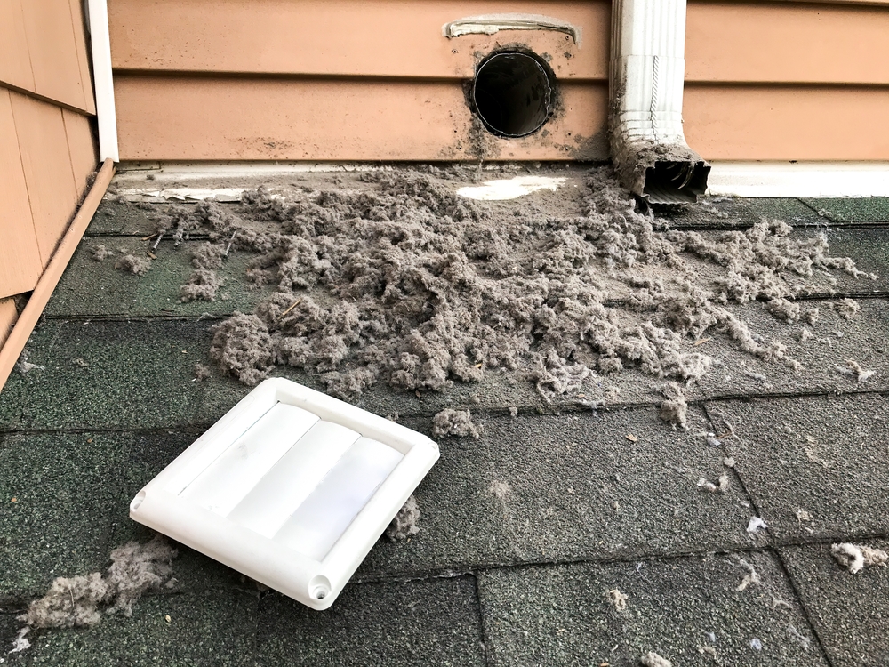 Lint collected from dryer machine after cleaning vent