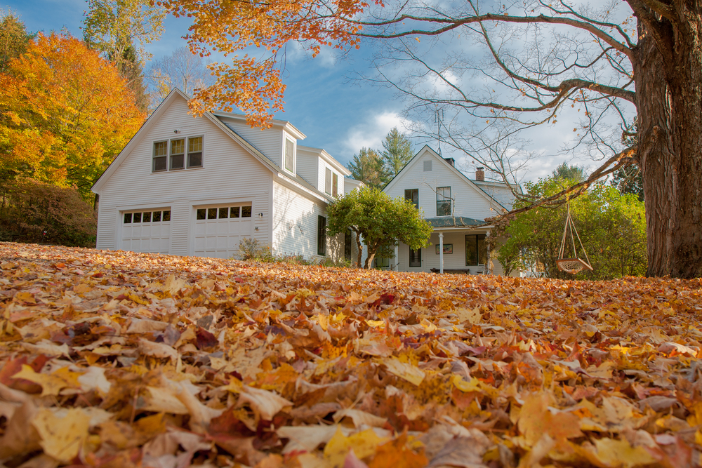 House in the fall. Photo taken at a low angle showing fall leaves on the ground.