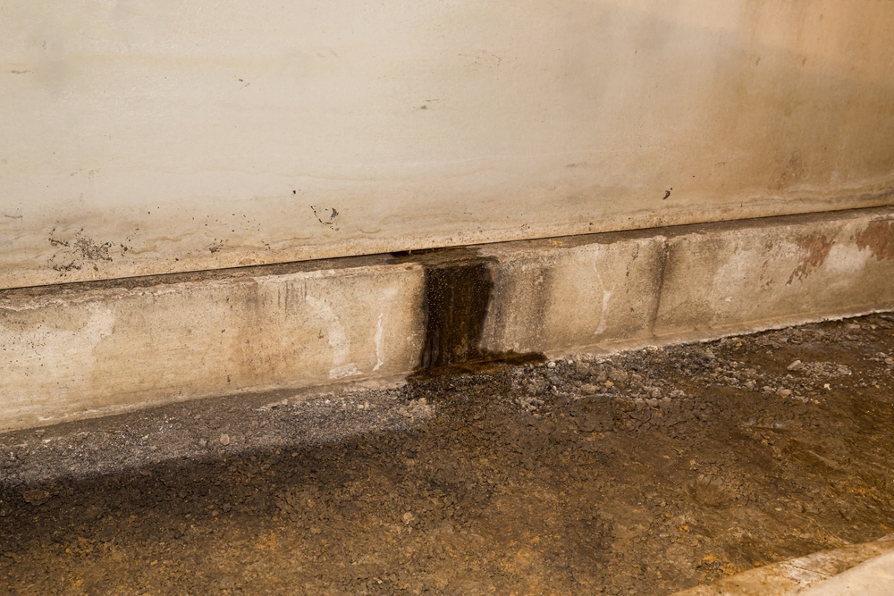 Water leaking through foundation wall in crawlspace of house. Home repair, basement waterproofing and mold damage concept